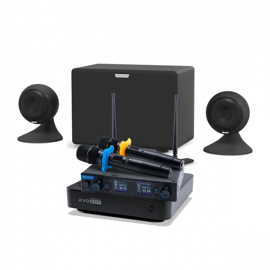 караоке-комплект EVOBOX + EvoSound Sphere 2.1 в Новокузнецке