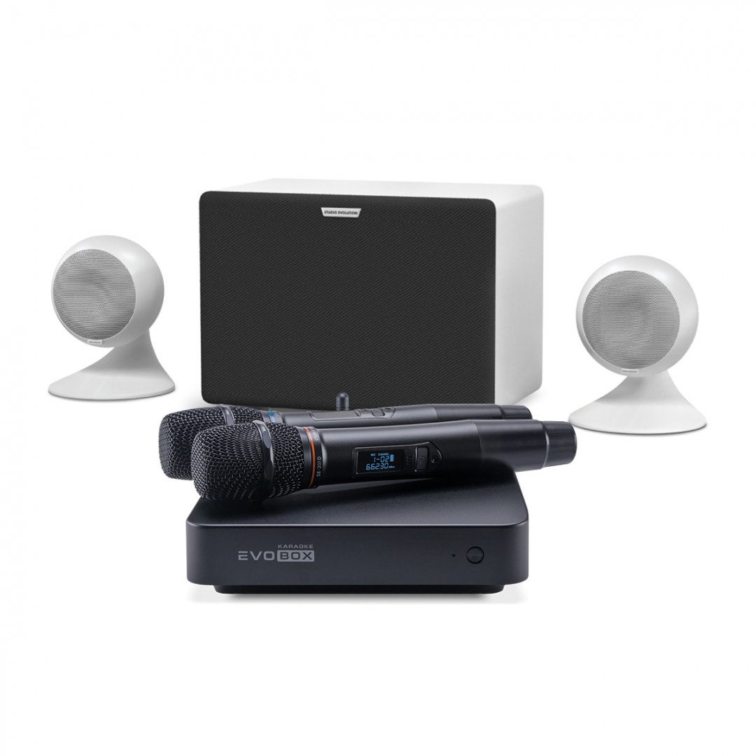 караоке-комплект EVOBOX Classic + EvoSound Sphere 2.1 в Новокузнецке
