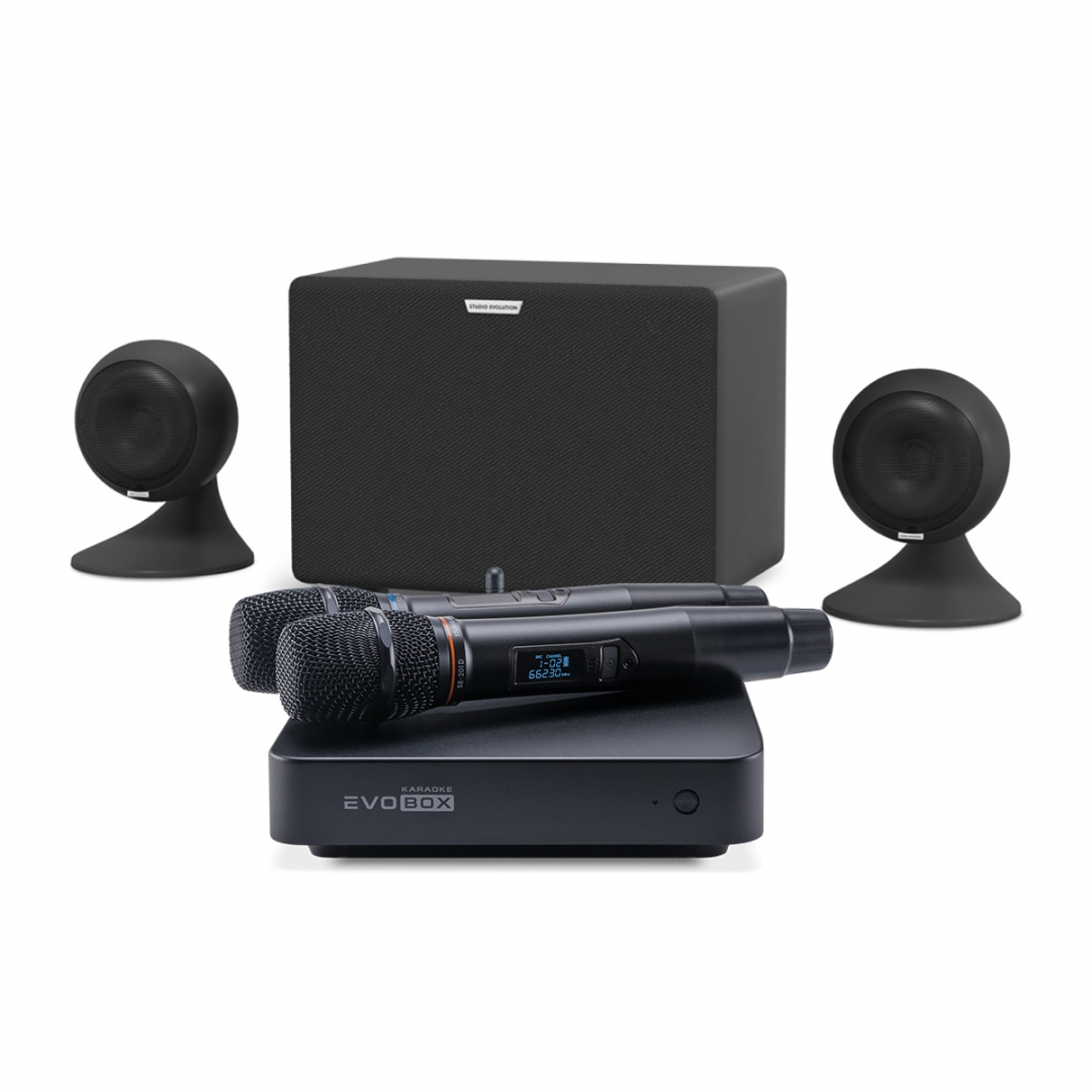 караоке-комплект EVOBOX Plus + EvoSound Sphere 2.1 в Новокузнецке