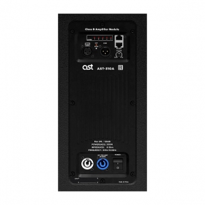Активная акустическая система AST-310A в Новокузнецке