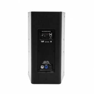 Активная акустическая система AST-310A в Новокузнецке