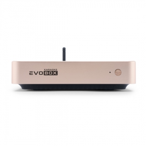 EVOBOX Plus караоке-система для дома в Новокузнецке